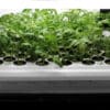 SuperPonics 50-Site SuperCloner Hydroponic Cloning System