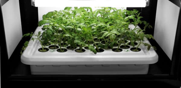 SuperPonics 50-Site SuperCloner Hydroponic Cloning System