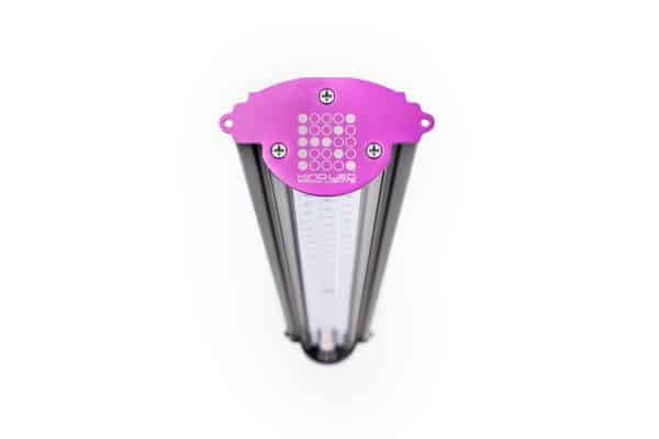 Kind LED X40 Flower Bar Light