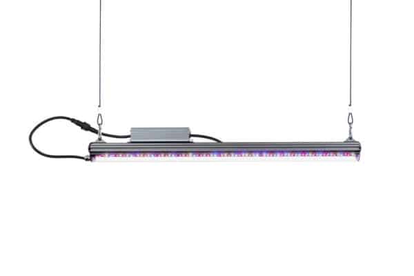 Kind LED X40 Flower Bar Light