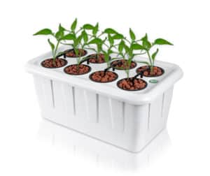 SuperPonics 8 Hydroponic System