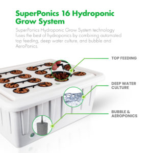 SuperCloset SuperStar Soil Grow Box Hydroponics System