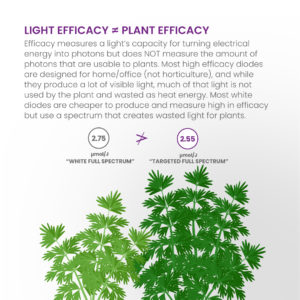 Light Efficacy vs Plant Efficacy