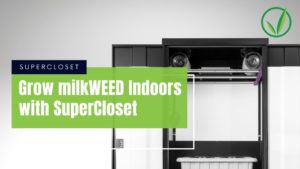 SuperCloset Milkweed Video